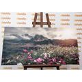 CANVAS PRINT MEADOW OF BLOOMING FLOWERS - PICTURES OF NATURE AND LANDSCAPE{% if product.category.pathNames[0] != product.category.name %} - PICTURES{% endif %}