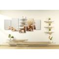 5-PIECE CANVAS PRINT ZEN STONES WITH SEASHELLS - PICTURES FENG SHUI - PICTURES