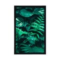 POSTER FRESH TROPICAL LEAVES - NATURE - POSTERS