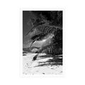 POSTER WONDERS OF ANSE SOURCE BEACH IN BLACK AND WHITE - BLACK AND WHITE - POSTERS