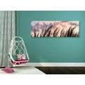 CANVAS PRINT SPIKES OF LONG GRASS - PICTURES OF NATURE AND LANDSCAPE - PICTURES