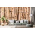 WALL MURAL EXOTIC BAMBOO - WALLPAPERS WITH IMITATION OF WOOD - WALLPAPERS