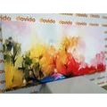 CANVAS PRINT ABSTRACT NATURE - ABSTRACT PICTURES - PICTURES