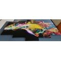 5-PIECE CANVAS PRINT EXPLOSION OF COLORS - ABSTRACT PICTURES - PICTURES