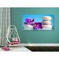 CANVAS PRINT WELLNESS STILL LIFE - PICTURES FENG SHUI - PICTURES