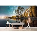 SELF ADHESIVE WALL MURAL TREE UNDER THE STARRY SKY - SELF-ADHESIVE WALLPAPERS - WALLPAPERS