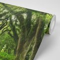 SELF ADHESIVE WALL MURAL PATH COVERED WITH TREES - SELF-ADHESIVE WALLPAPERS - WALLPAPERS