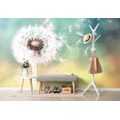 SELF ADHESIVE WALL MURAL MAGICAL DANDELION - SELF-ADHESIVE WALLPAPERS - WALLPAPERS