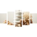 5-PIECE CANVAS PRINT ZEN STONES WITH SEASHELLS - PICTURES FENG SHUI - PICTURES