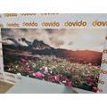 CANVAS PRINT MEADOW OF BLOOMING FLOWERS - PICTURES OF NATURE AND LANDSCAPE - PICTURES