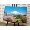 CANVAS PRINT FUJI VOLCANO - PICTURES OF NATURE AND LANDSCAPE - PICTURES