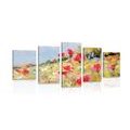 5-PIECE CANVAS PRINT PAINTED POPPIES IN A MEADOW - PICTURES OF NATURE AND LANDSCAPE - PICTURES