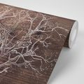 WALLPAPER TREE CROWN ON A WOODEN BACKGROUND - WALLPAPERS NATURE - WALLPAPERS