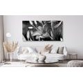 CANVAS PRINT LILY BLOSSOM IN BLACK AND WHITE - BLACK AND WHITE PICTURES - PICTURES