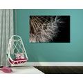 CANVAS PRINT THE BEAUTY OF THE DANDELION - PICTURES FLOWERS{% if product.category.pathNames[0] != product.category.name %} - PICTURES{% endif %}