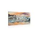 CANVAS PRINT WATER-FORMED HORSES - PICTURES OF ANIMALS - PICTURES