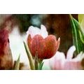 WANDBILD WIESE MIT TULPEN IM RETRO-STIL - BILDER BLUMEN - BILDER