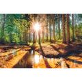 SELF ADHESIVE WALL MURAL FAIRYTALE FOREST - SELF-ADHESIVE WALLPAPERS - WALLPAPERS