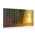 TABLEAU SUR TOILE – CHEMIN EN FORÊT - TABLEAUX DE LA NATURE ET DES PAYSAGES - TABLEAUX