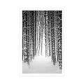 POSTER SCHNEEBEDECKTER WALD IN SCHWARZ-WEISS - SCHWARZ-WEISS - POSTER