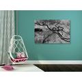 CANVAS PRINT SURREALISTIC TREES IN BLACK AND WHITE - BLACK AND WHITE PICTURES - PICTURES