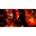 CANVAS PRINT MYSTERIOUS WOLF - PICTURES OF ANIMALS{% if product.category.pathNames[0] != product.category.name %} - PICTURES{% endif %}