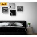 CANVAS PRINT SET FOR HORSE LOVERS IN BLACK AND WHITE - SET OF PICTURES - PICTURES