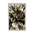 POSTER EXOTIC DAHLIA IN SEPIA DESIGN - BLACK AND WHITE - POSTERS