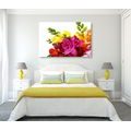 CANVAS PRINT BOUQUET OF COLORFUL FREESIAS - PICTURES FLOWERS - PICTURES