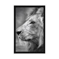 POSTER AFRICAN LION IN BLACK AND WHITE - BLACK AND WHITE - POSTERS