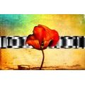 SELF ADHESIVE WALLPAPER ABSTRACT POPPIES - SELF-ADHESIVE WALLPAPERS - WALLPAPERS