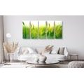 IMPRESSION SUR TOILE EN 5 PARTIES BRINS D'HERBE DANS UN DESIGN VERT - IMPRESSION SUR TOILE DE NATURE ET PAYSAGE - IMPRESSION SUR TOILE