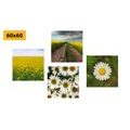 CANVAS PRINT SET MEADOW FULL OF FLOWERS - SET OF PICTURES - PICTURES