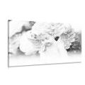 CANVAS PRINT ANGEL - PICTURES OF ANGELS - PICTURES