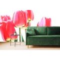 WALL MURAL RED FIELD TULIPS - WALLPAPERS FLOWERS - WALLPAPERS