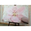CANVAS PRINT PINK LILY AND ZEN STONES - PICTURES FENG SHUI - PICTURES