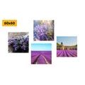 CANVAS PRINT SET ROMANTIC LAVENDER - SET OF PICTURES - PICTURES