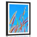 POSTER MIT PASSEPARTOUT WILDES GRAS UNTER BLAUEM HIMMEL - NATUR - POSTER