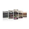 IMPRESSION SUR TOILE EN 5 PARTIES PRAIRIE DE FLEURS ÉPANOUIES - IMPRESSION SUR TOILE DE NATURE ET PAYSAGE - IMPRESSION SUR TOILE