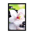 POSTER JAPANISCHE ORCHIDEE - FENG SHUI - POSTER