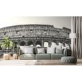 WALL MURAL COLOSSEUM IN BLACK AND WHITE - BLACK AND WHITE WALLPAPERS - WALLPAPERS