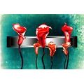 PAPIER PEINT AUTOCOLLANT ABSTRAIT FLEURS CALLA ROUGES - PAPIERS PEINTS AUTOCOLLANTS - PAPIER PEINT