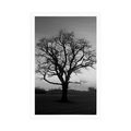 POSTER ENCHANTING TREE IN BLACK AND WHITE - BLACK AND WHITE - POSTERS