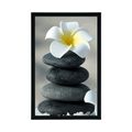 POSTER HARMONISCHE STEINE UND PLUMERIA-BLÜTE - FENG SHUI - POSTER