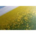 CANVAS PRINT YELLOW FIELD - PICTURES OF NATURE AND LANDSCAPE - PICTURES