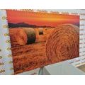 CANVAS PRINT HAY BALES - PICTURES OF NATURE AND LANDSCAPE - PICTURES