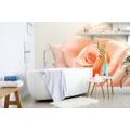 WALL MURAL ROSE IN A PEACH SHADE - WALLPAPERS FLOWERS - WALLPAPERS