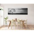 CANVAS PRINT LONELY TREE IN BLACK AND WHITE - BLACK AND WHITE PICTURES - PICTURES