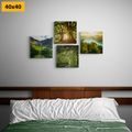 CANVAS PRINT SET BEAUTIFUL GREEN NATURE - SET OF PICTURES - PICTURES