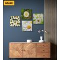 CANVAS PRINT SET MAGICAL FLOWERS - SET OF PICTURES - PICTURES